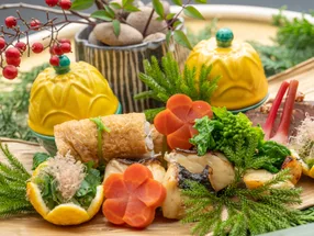弧玖 2
